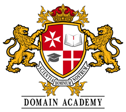 Domain Academy